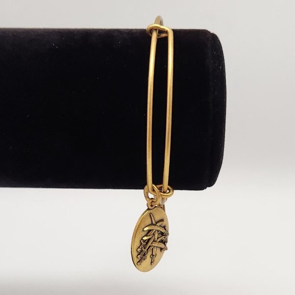 Alex And Ani Seven Swords III, EWB,RG Bracelet #632 - Picture 3 of 11